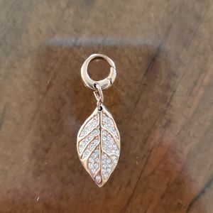Fossil leaf charm